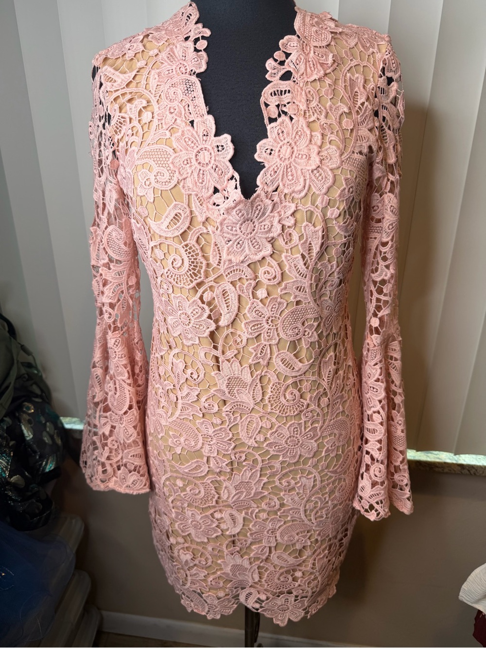 Julian Chang Jame Dress blush pink crochet lace overlay dress fitted sheath SZ 8